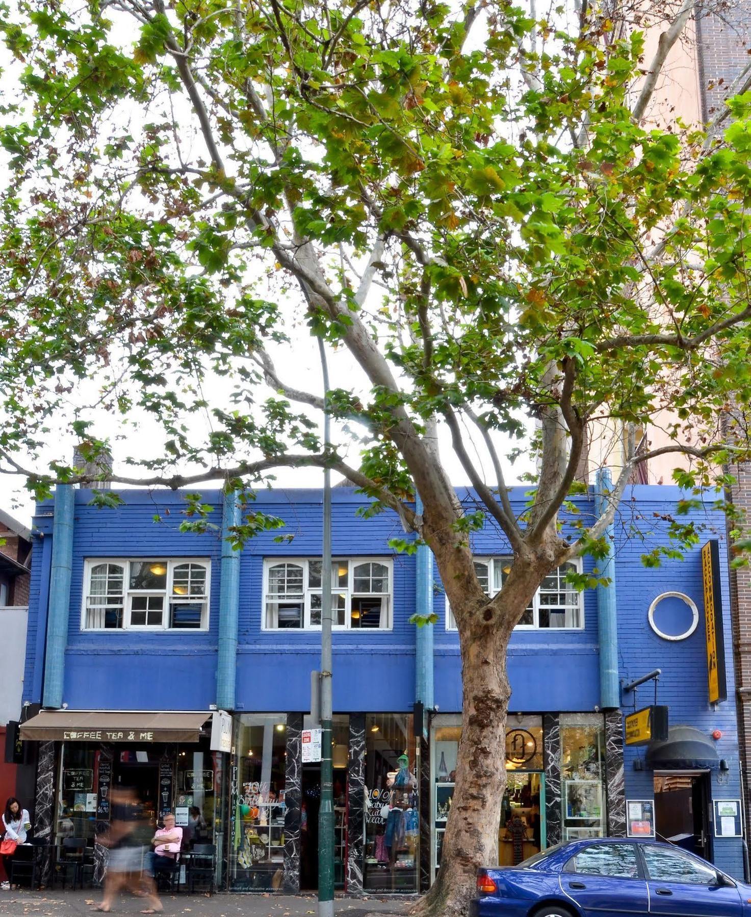 Blue Parrot Youth Hostel Sydney Exterior photo